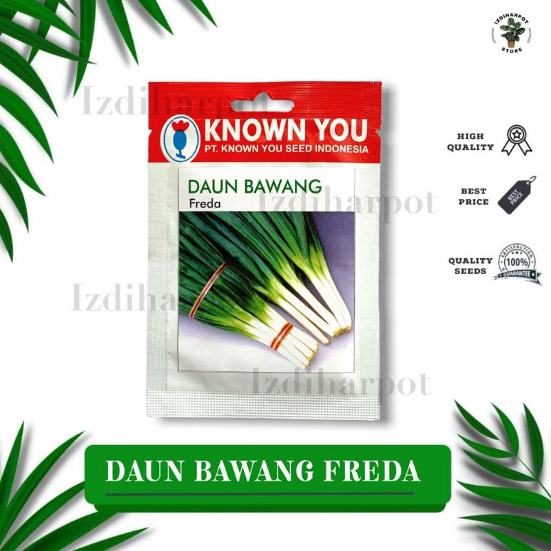 benih bibit DAUN BAWANG FREDA known you seed - KYS FREDA KEMASAN MERAH