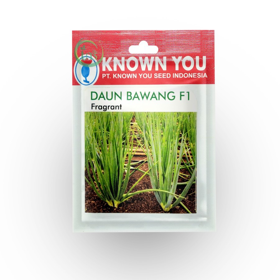 Benih Daun Bawang Fragrant F1