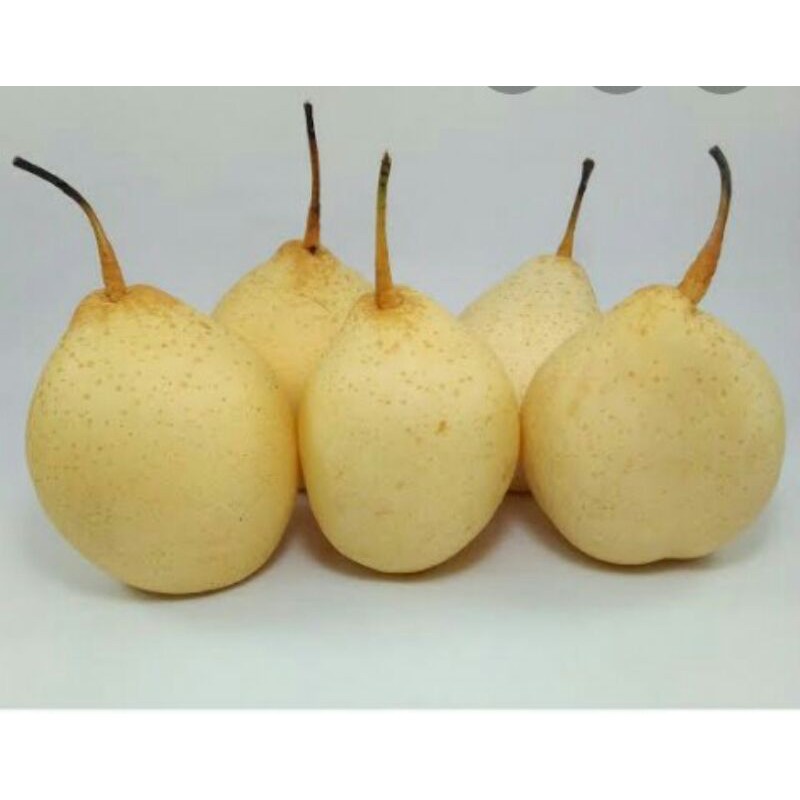 

buah pear