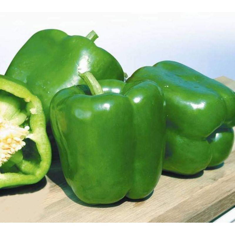 

Paprika hjjau 1kg segar