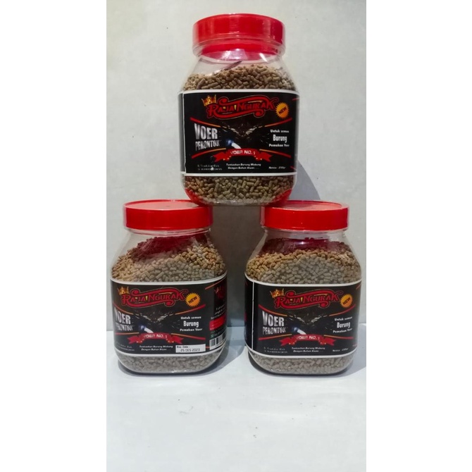 VOER RAJA NGURAK VOER PERONTOK BULU SOLUSI BURUNG SUSAH MABUNG