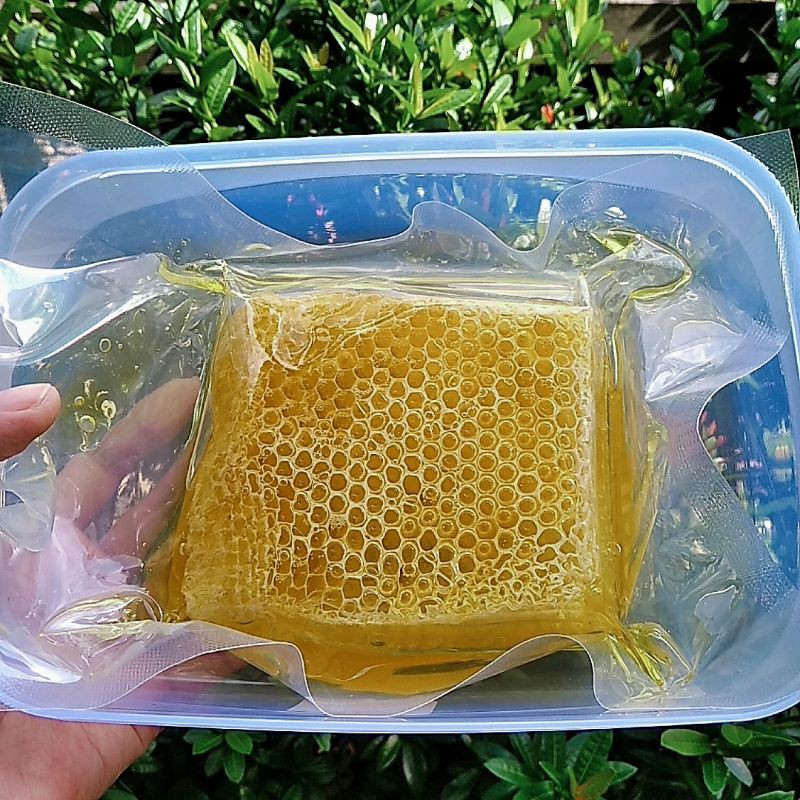 

Ready Madu Sarang Melifera 250 gram