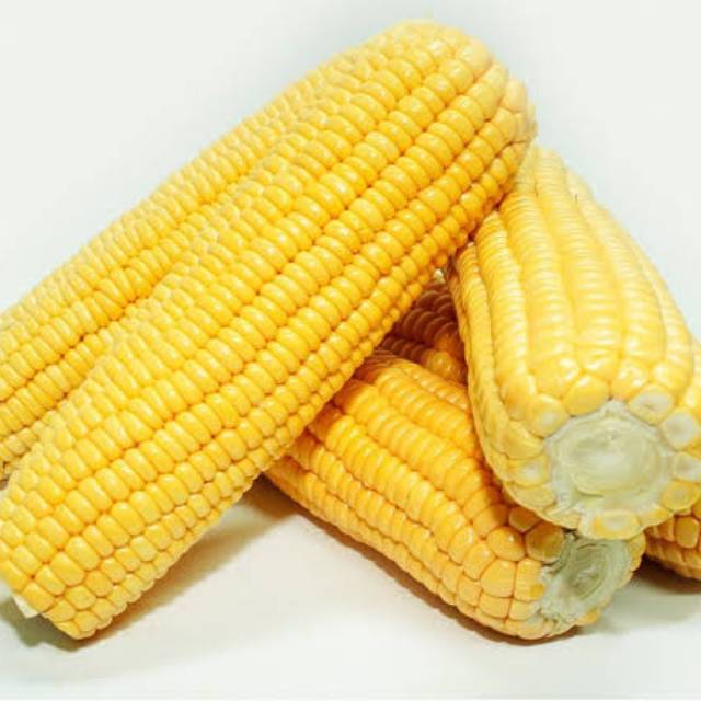 

Jagung manis