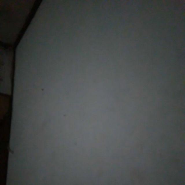 Batik Wanita Tunik Cendrawasih 2 Modern Kekinian Pakaian Kerja Kantor Kondangan Seragam Pakaian