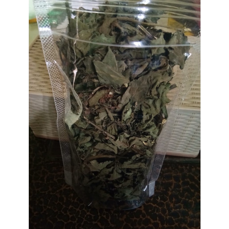 

Daun Kumis Kucing Kering Premium Quality 20 gr