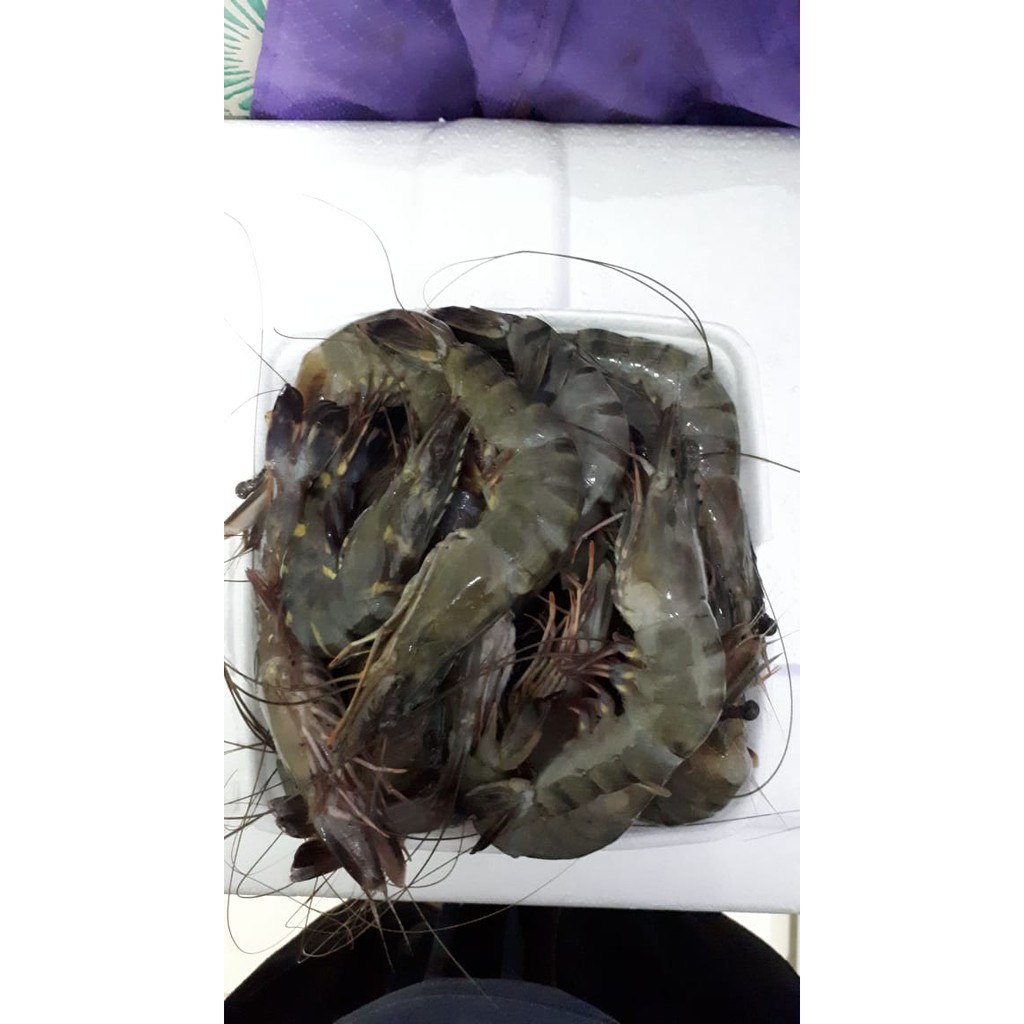 

Udang Uk. Besar 1000 Gram