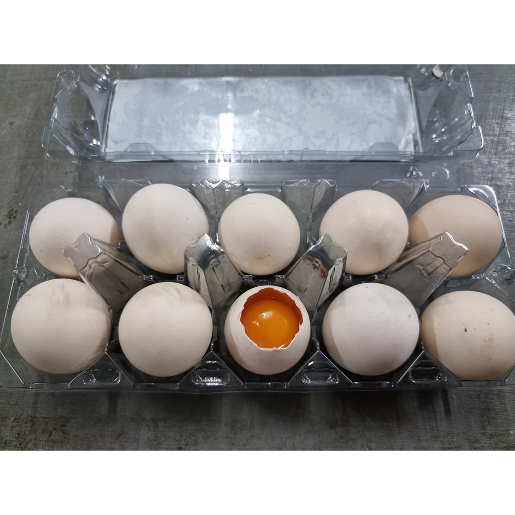 Telur Ayam Kampung Omega 10 Butir/Pack Mika