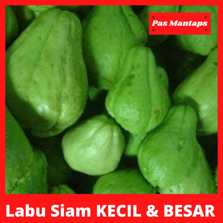 

Labu Kecil & Labu Besar Pasar Sayuran Segar Bekasi