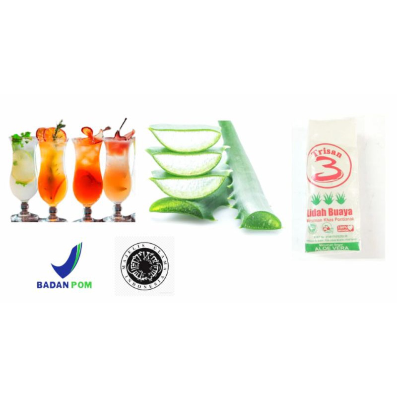 Lidah buaya murni asli dan alami minuman nutrisi manis untuk obat asam lambung dan daya tahan tubuh-3