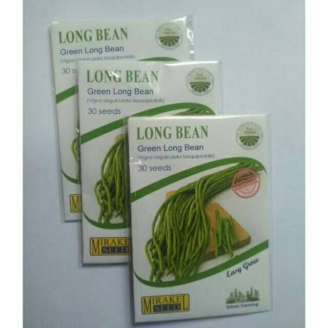 

LONG BEAN (Kacang Panjang)