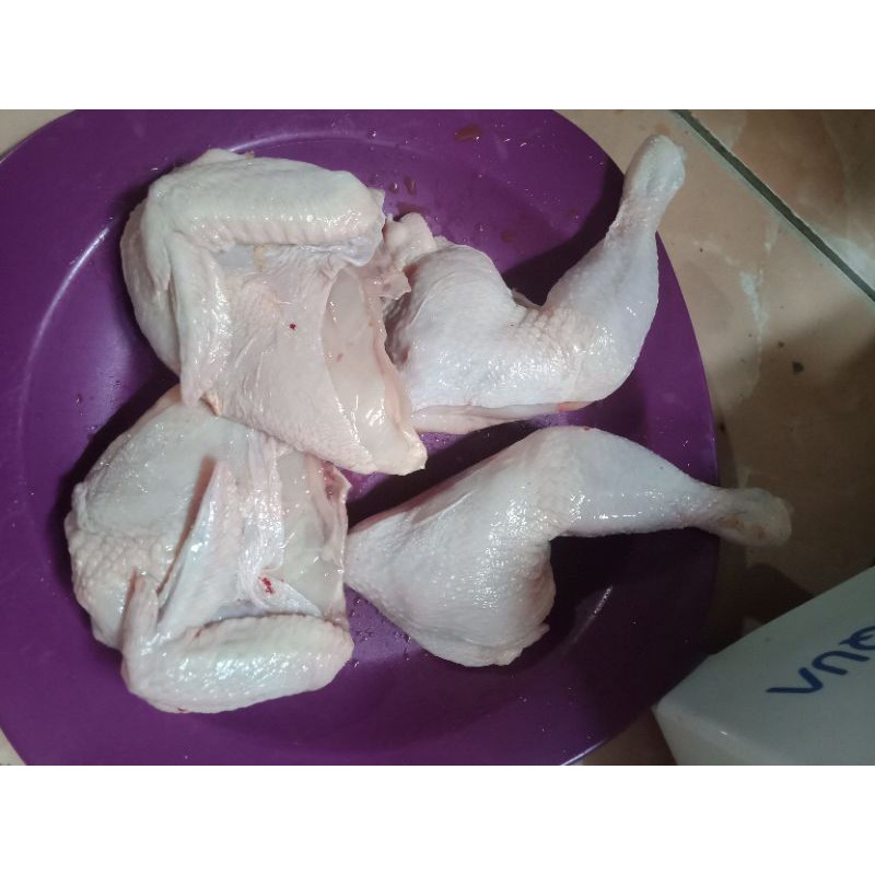 

Ayam Uk 0.5 - 0.7 ons