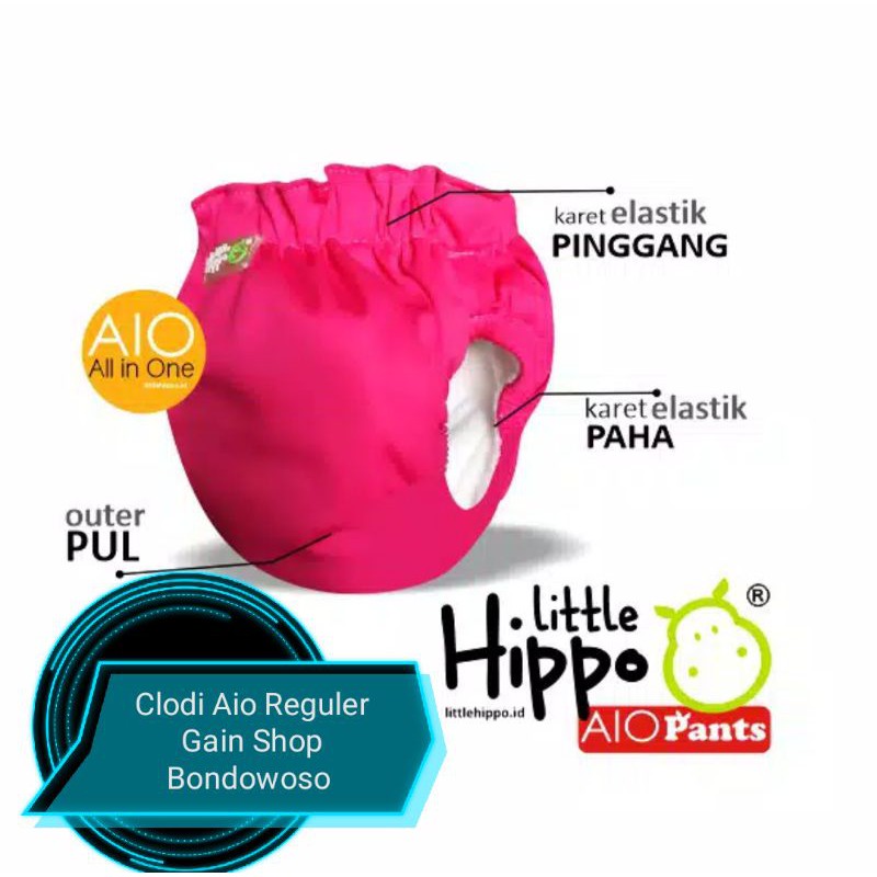 Produk lokal Clodi Aio little hippo reguler 3 -15 kg Model celana pant Popok anti bocor premium orig