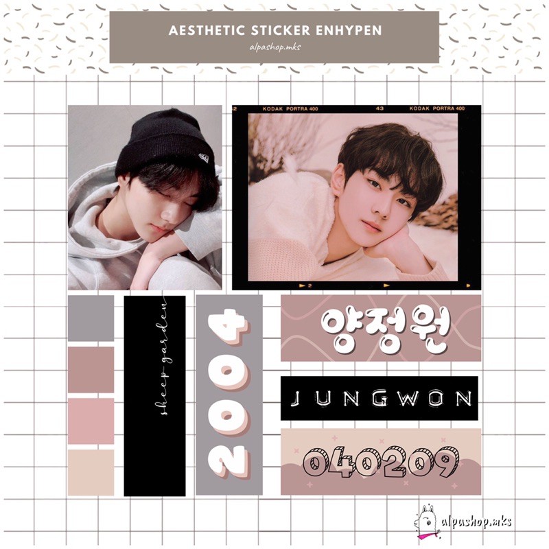 

AESTHETIC DECO STICKER ENHYPEN