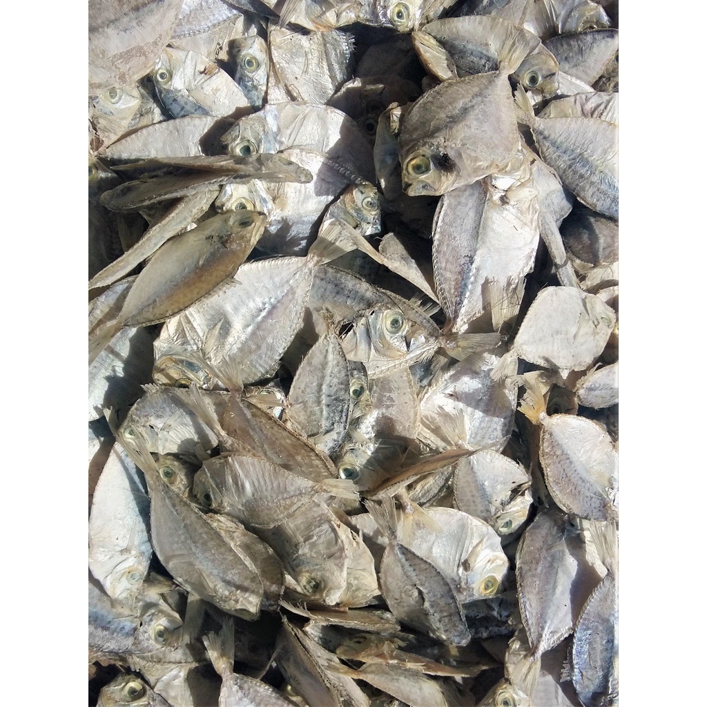 

Ikan kering Bete-bete 1 kg