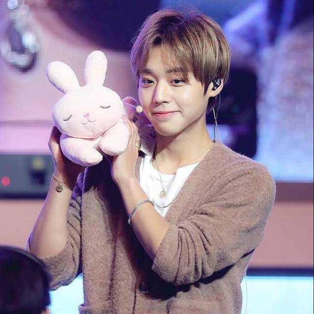 Miniso Doll - Park Jihoon
