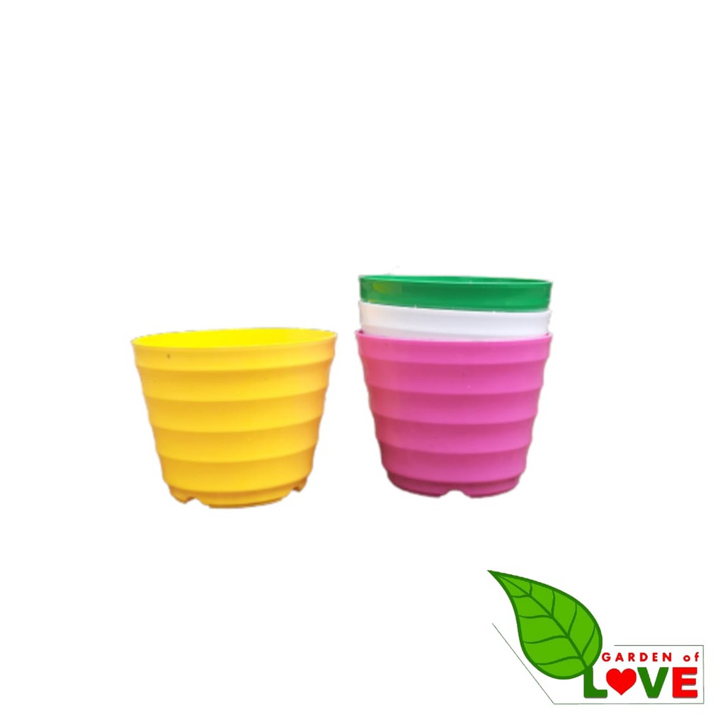 Pot King Mado 12 Putih Warna Warni By Garden Of Love Pot Plastik Kaktus Mini Murah Lucu Mirip Pot Tawon 12