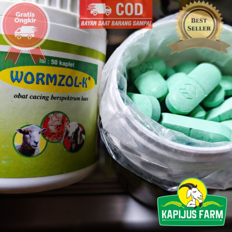 Wormzol K 1 Tablet Obat Cacing Kambing Domba