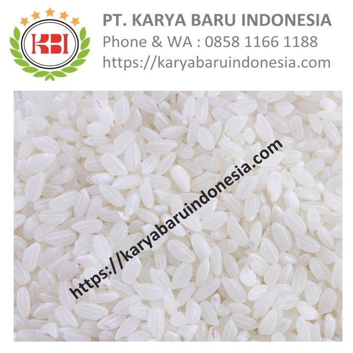 

BERAS PANDAN WANGI HARGA DISTRIBUTOR GROSIR - PT. KARYA BARU INDONESIA