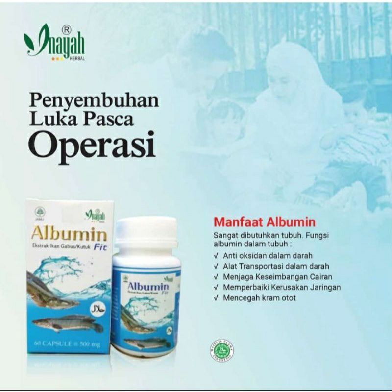 Albumin Fit Original