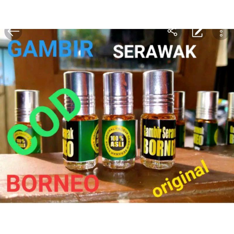 asli gambir siam serawak cair oles