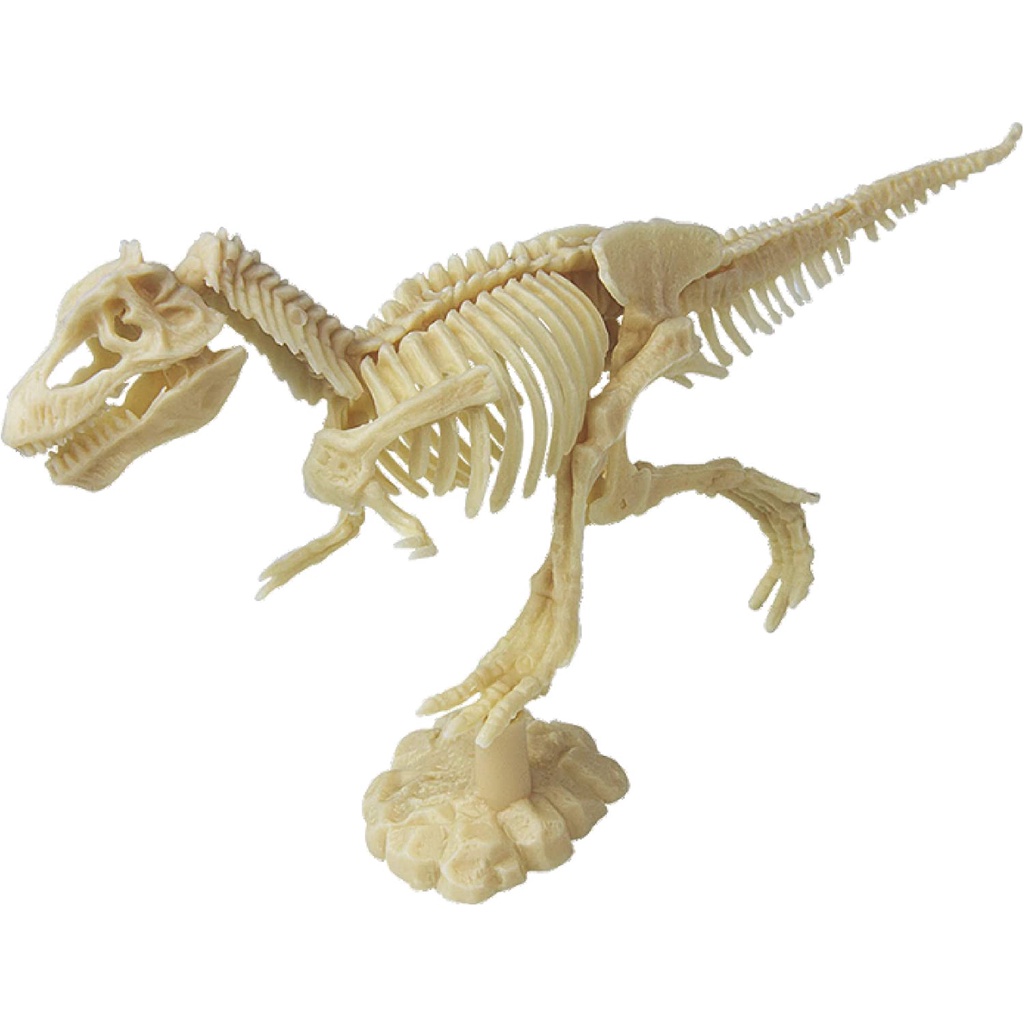 Mainan Edukasi Dinosaurus Fossil | Arkeologi Dino Fosil - Montessori - Dig a Dino Trex