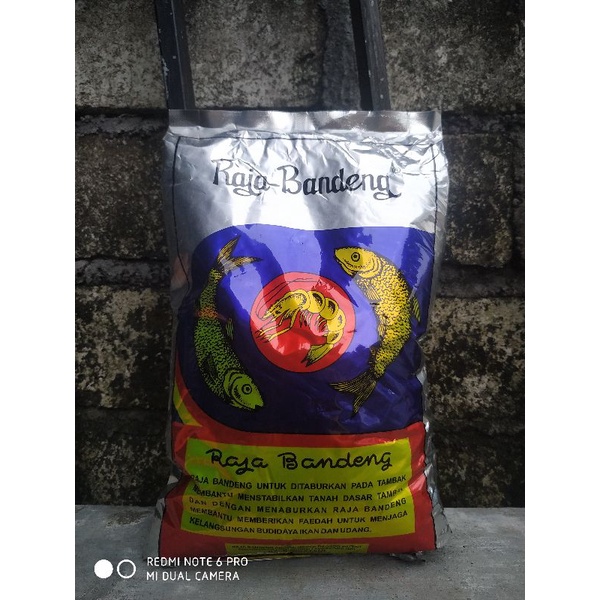 Raja bandeng 2,5 kg pakan ikan penumbuh plangton plankton