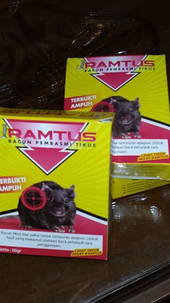 Ramtus Racun Tikus Ampuh Mati Kering Tidak Bau Pembasmi Curut Wirog Mencit Dirumah Di Mobil 5 Pack