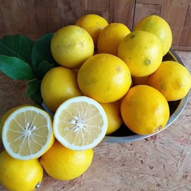 

Jeruk Lemon 1kg
