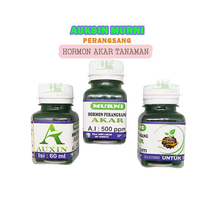 Stimulan Hormon Akar Auksin Murni ZPT Akar Auxin Murni