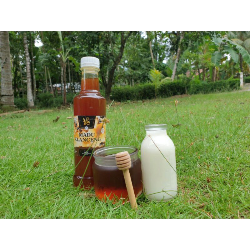 

Madu Klanceng YM FARM 360 mili