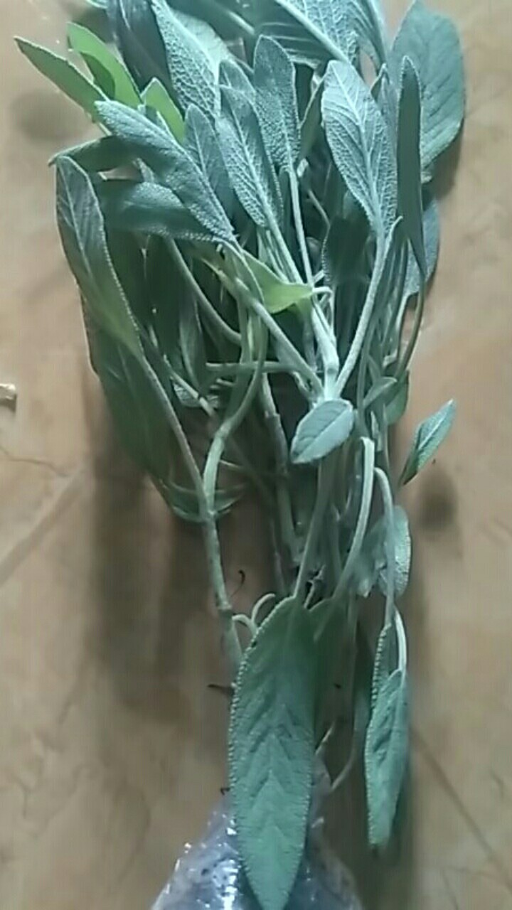 Lavender Sage Aromaterapi