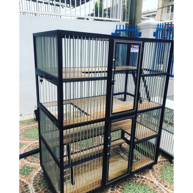 kandang kucing medan