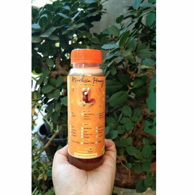 

Madu Klanceng Liar (Trigona Inchisa) Sulawesi