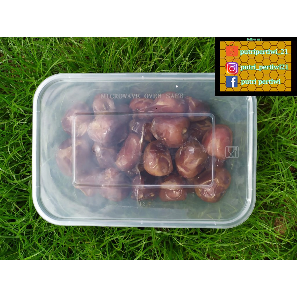 

Kurma Sukari Kurma Basah Kwalitas Premium Rasa Legit & Daging Lembut Sukkari In Box