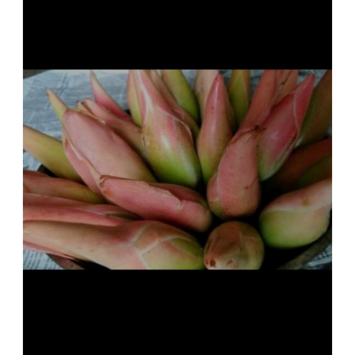 

Bunga combarang segar/rombeh 1kg