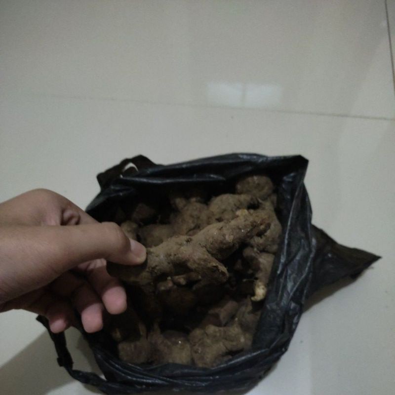 

PROMOJAHEMERAH
