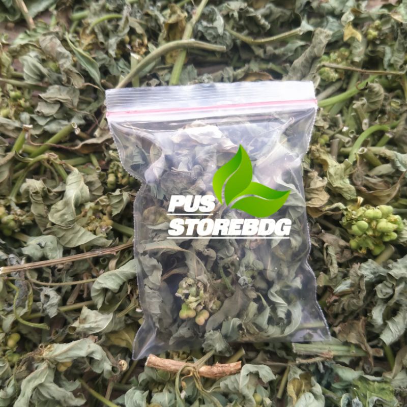 

Jual daun sena kering kemasan 200 gram