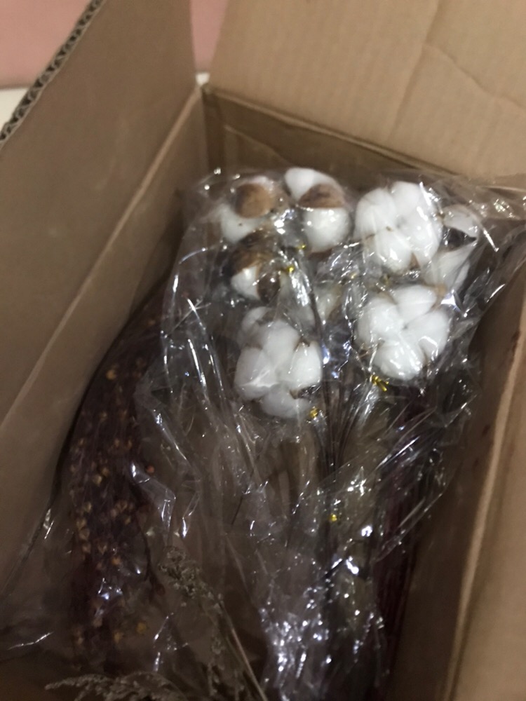 Dried Lino Bunga Kering Asli Natural Buket Bouquet Jequirity Rustic Coriander Driedflower Dekorasi