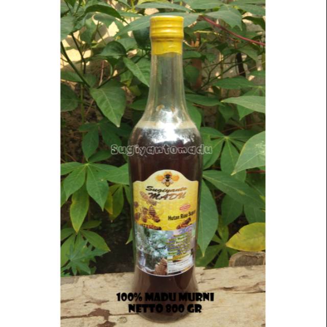 

MADU ASLI.. MADU MURNI.. Sugiyanto Madu 800gr..Madu Hutan Riau Super (MURNI TANPA CAMPURAN)