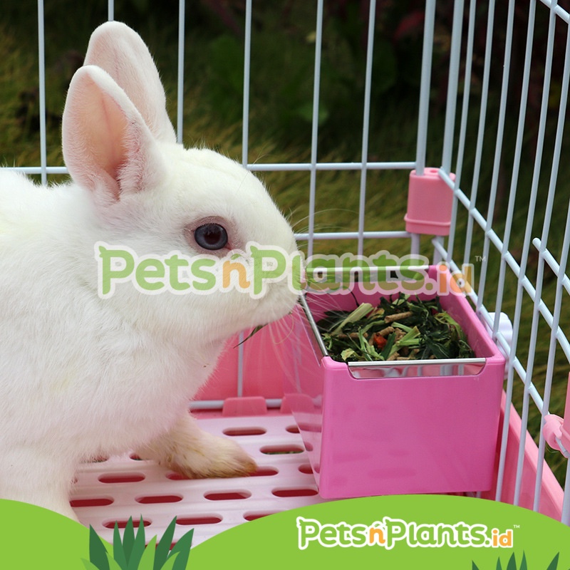 Tempat Makan Minum Hewan Hamster Kelinci Chinchilla Gantung Plastik Anti Gigit - Pet Feeding Bowl