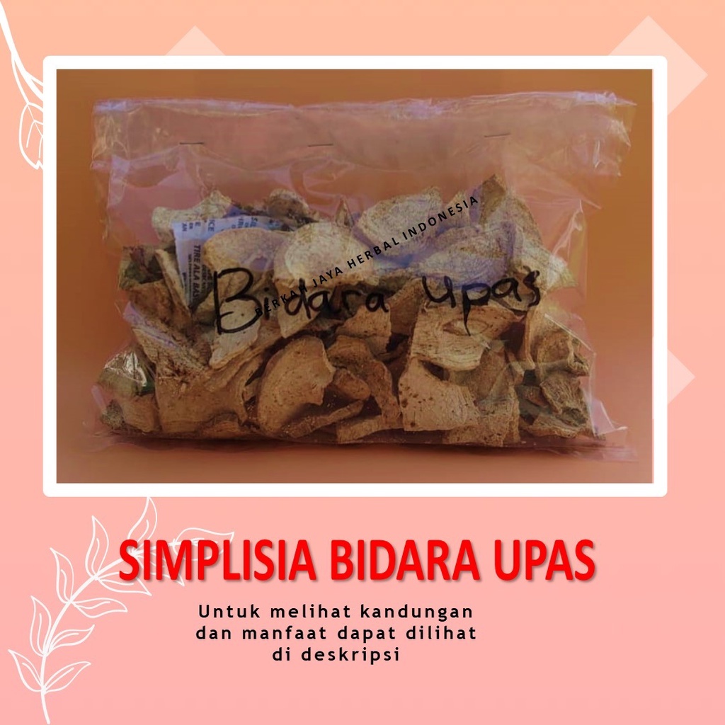 

Bidara upas bahan Jamu godog / godok / rebus / simplisia / anti kanker / tumor payudara