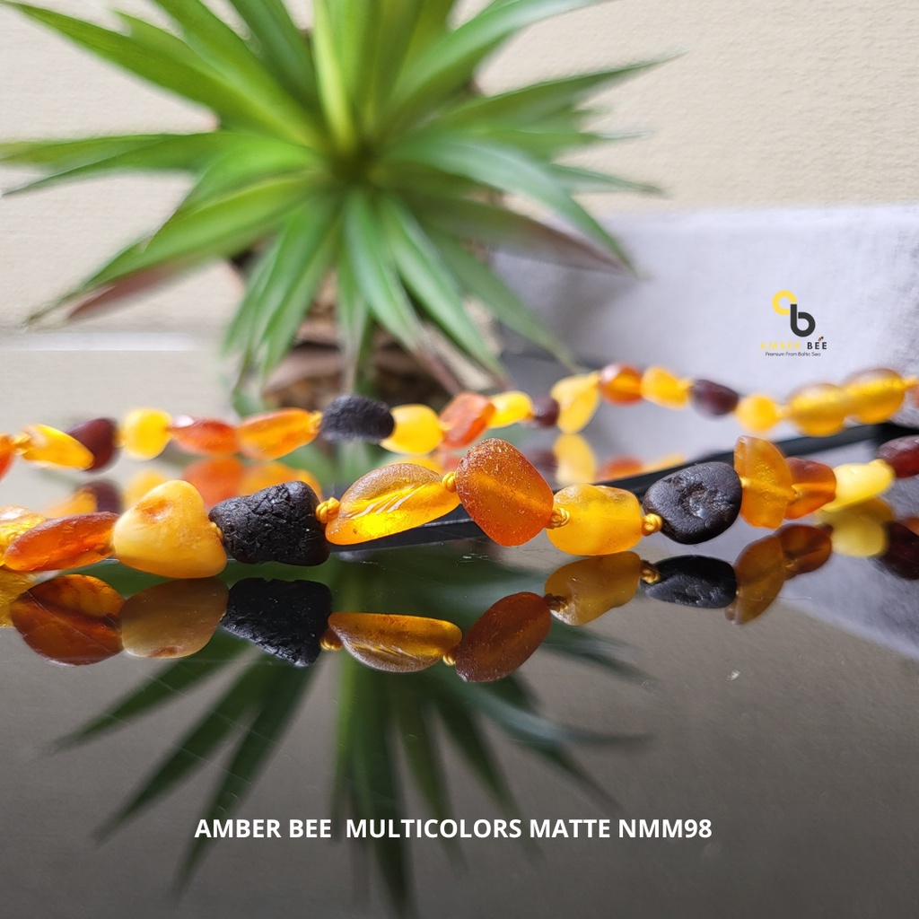 Kalung Amber Anak Tumbuh Gigi Matte Multicolor Beans Multicolor NMMC98 by Amber bee