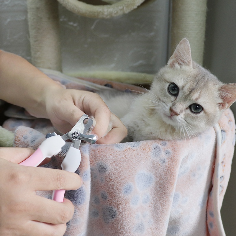 Gunting Kuku Kucing Anjing / Hadiah gratis Potong Kuku Kucing Pet Nail Clipper set Alat Kikir Kuku Hewan Pemotong