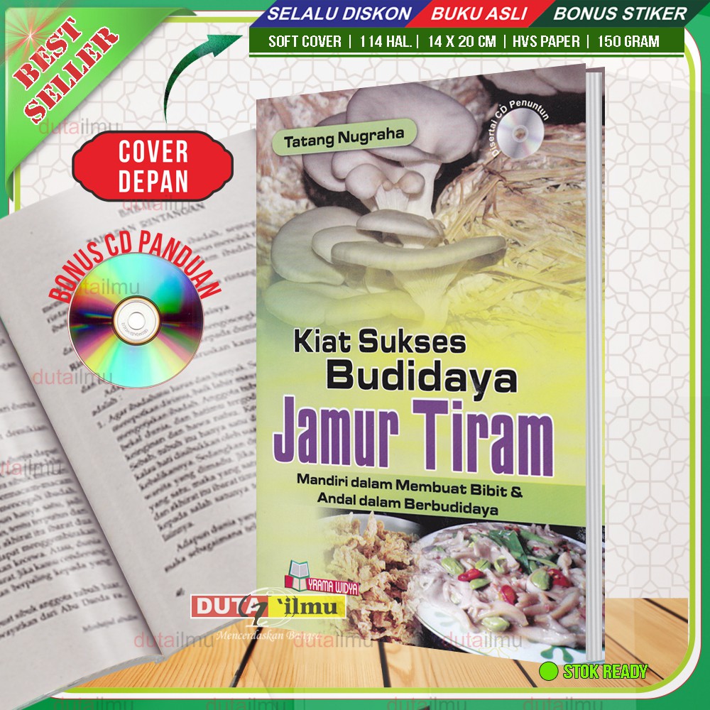 Kiat Sukses Budidaya JAMUR TIRAM