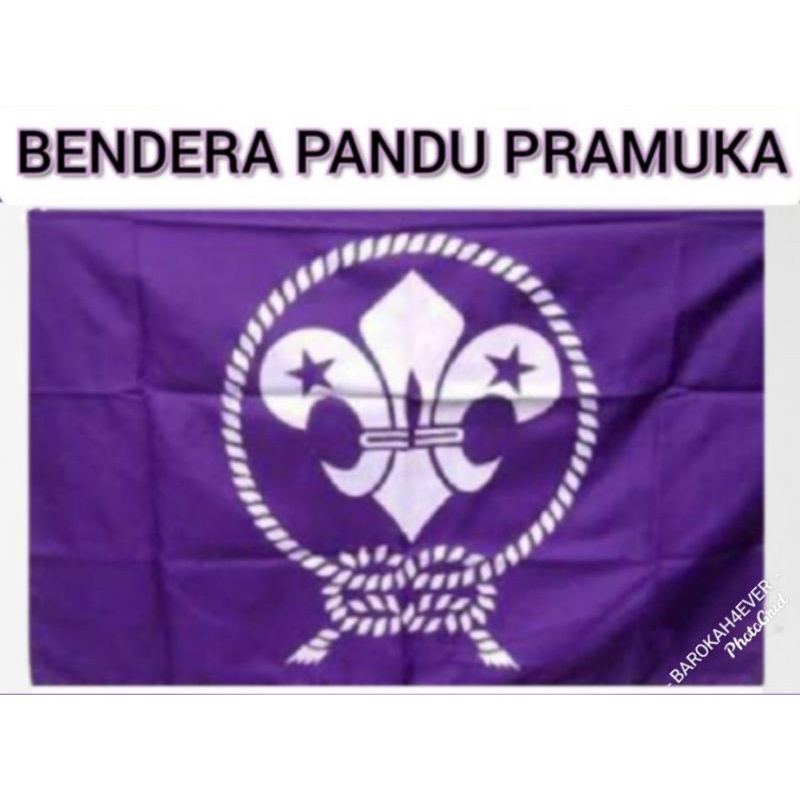 BENDERA PANDU PRAMUKA