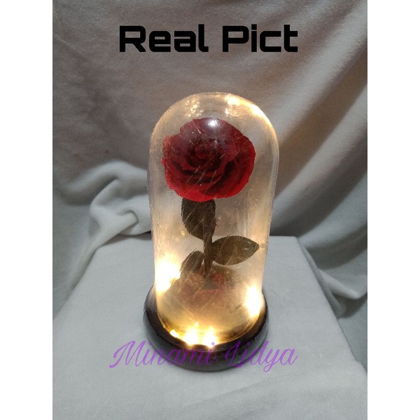 bunga preserved rose beauty and the beast with led