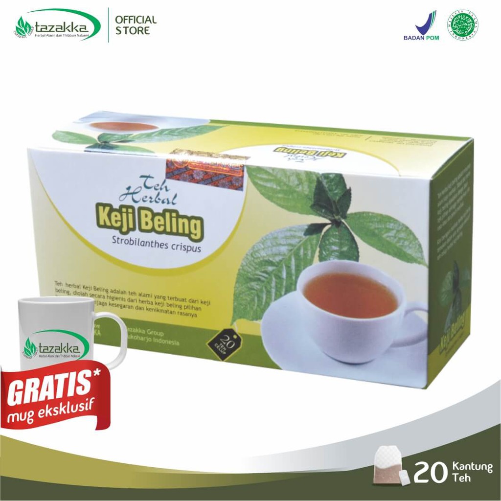 Teh Celup Daun Keji Beling Minuman Kesehatan Batu Ginjal ...