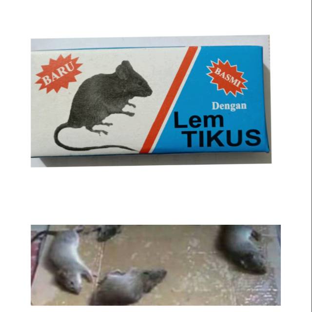 LEM TIKUS  ISI 12 BUNGKUS/LEM PERANGKAP TIKUS (1lusin)