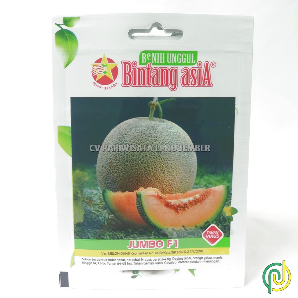 Benih Bibit Biji  Melon Jumbo F1 0.5gr