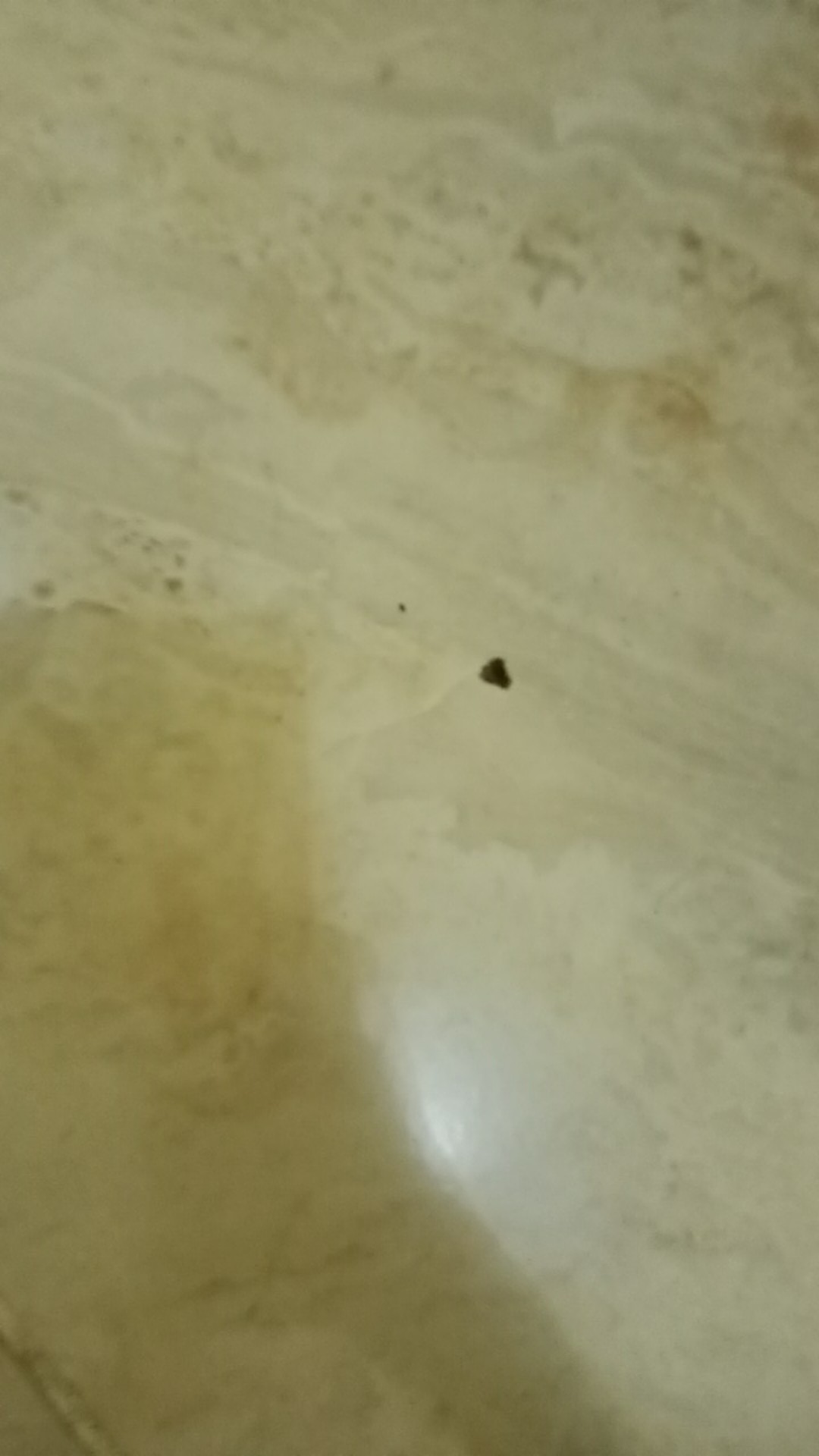 Gof Brlc Damor (cressida) Batik Cowok Pakaian Pria Kemeja Batik Reguler Lengan Panjang